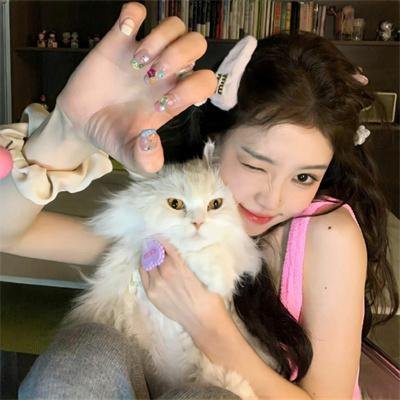 2026热门内容精选第049期